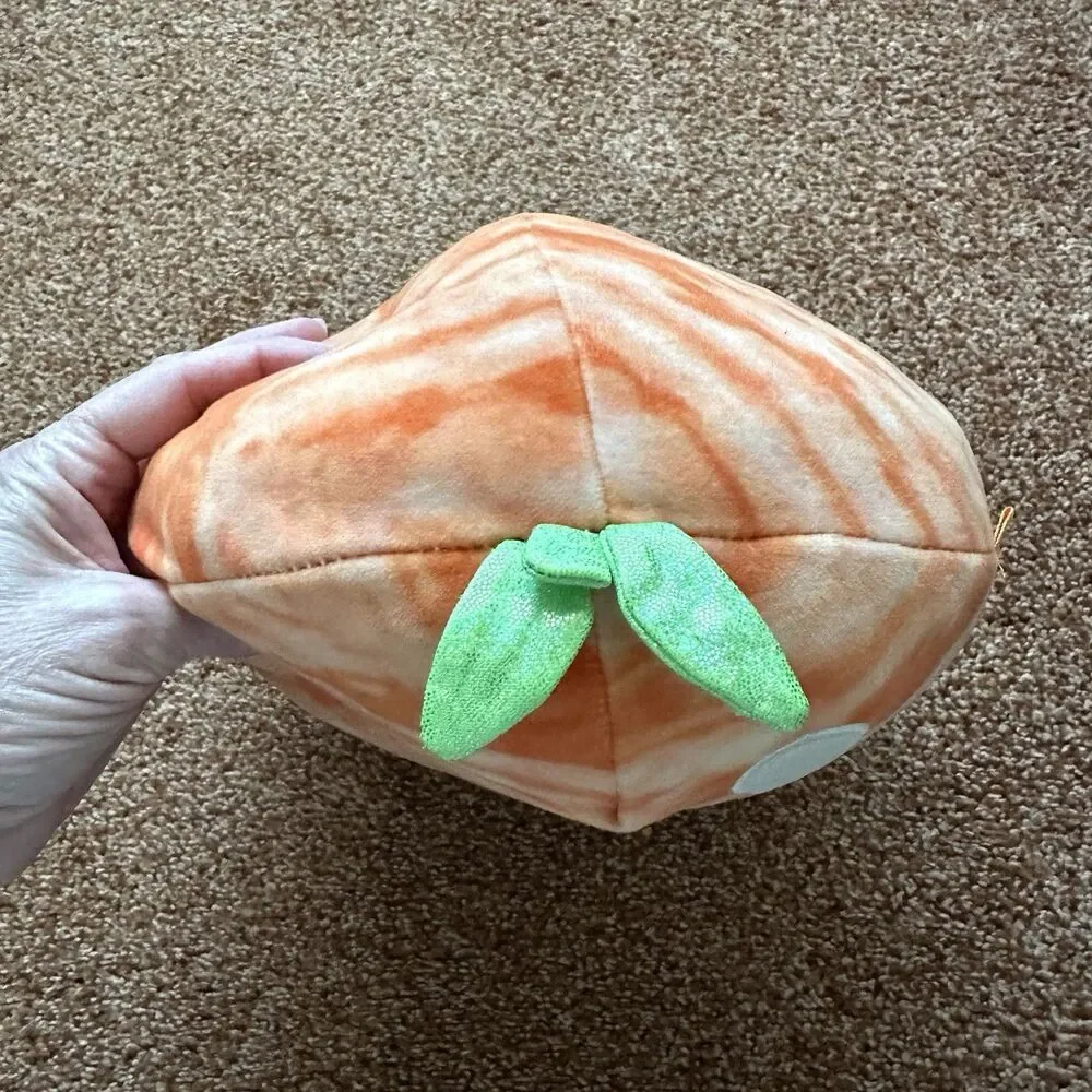 Squishmallow Judy The Tangerine Orange Plush Toy Pillow 12 inch Fruit Glasses